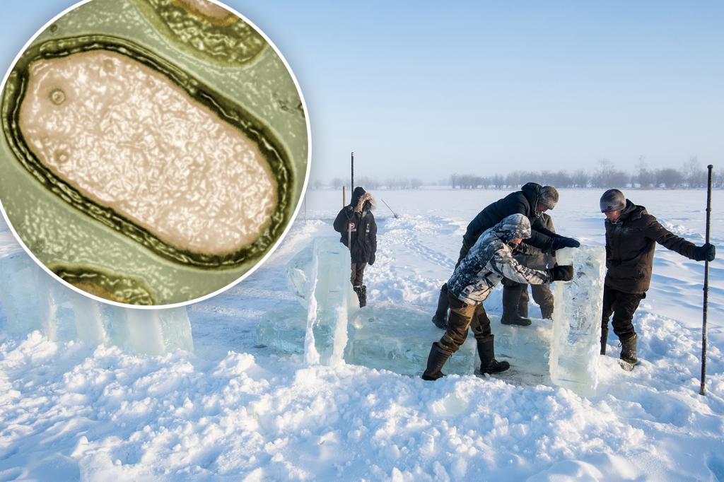 Long-frozen 'zombie virus' is 'public health threat' amid thaw