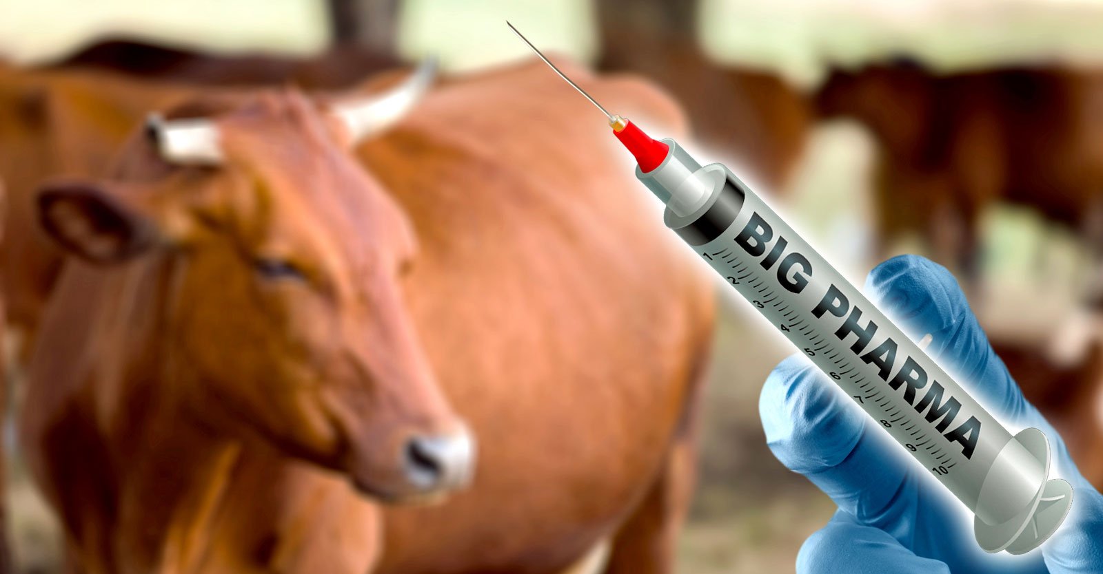 COVID Vaccines ‘Opened the Floodgates’ for New Wave of mRNA Vaccines for Livestock • Children's Health Defense