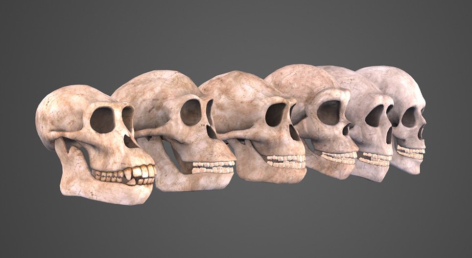 No single birthplace of mankind, say scientists – The Velvet Door