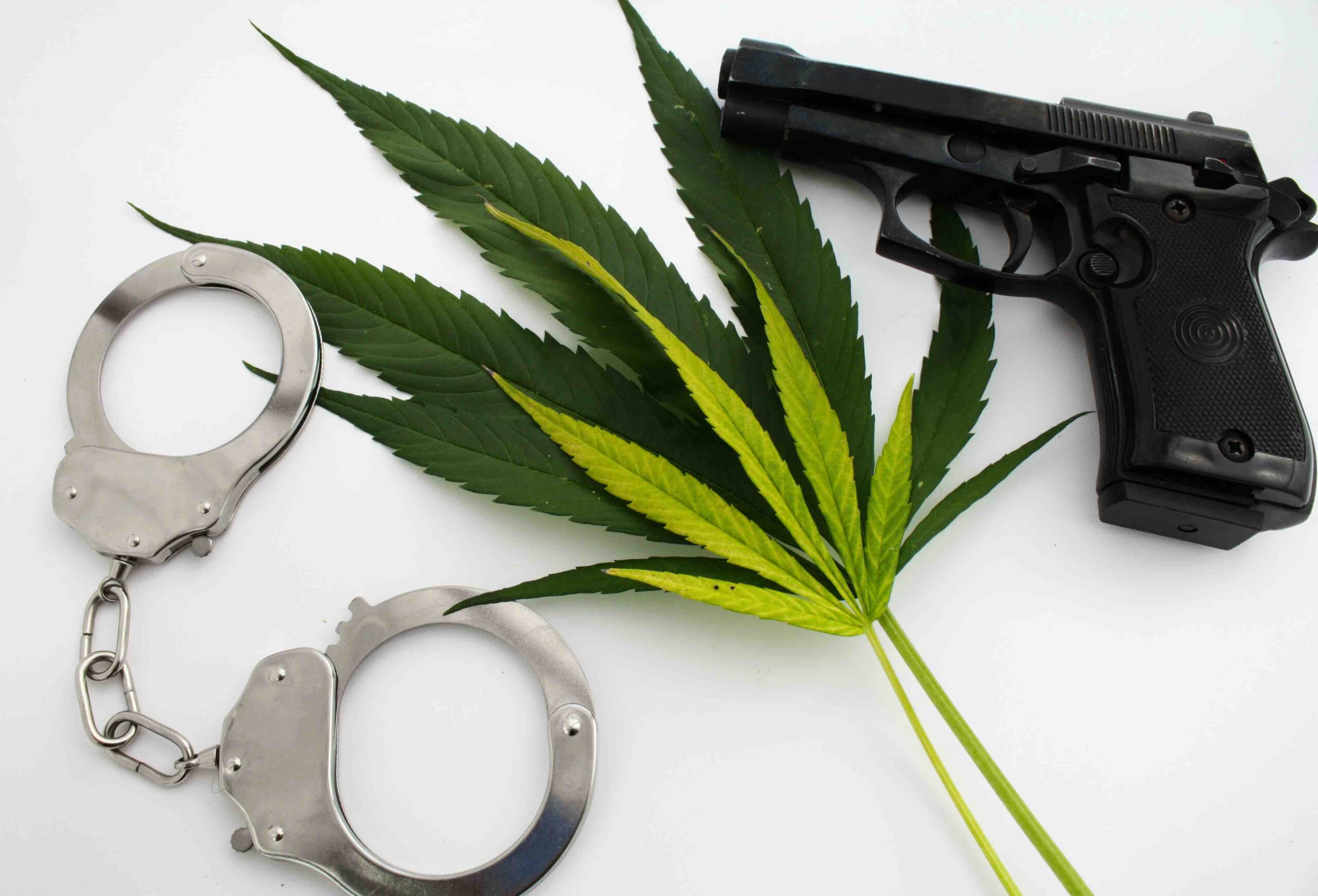 Judge strikes down gun ban for marijuana consumers | Leafly