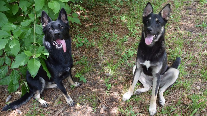 Fundraiser by Jade Jimenez : Jade Was Mauled By Dogs-Now Permanently Disabled