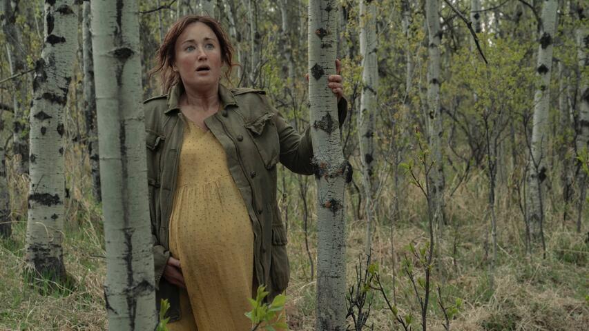 The Last of Us 1x09 "Look for the Light" - Trakt