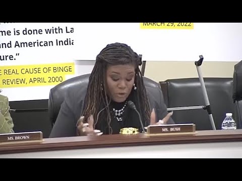 5  o'clock rush Hr livestream (Dems say the darndest things) - YouTube