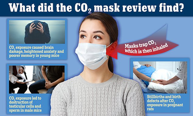 Face masks may raise risk of stillbirths, testicular issues and cognitive decline, study says | Daily Mail Online