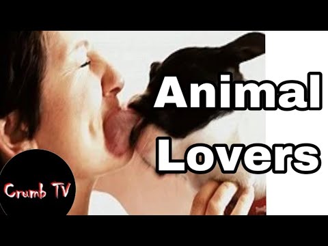 Animal Lovers - YouTube