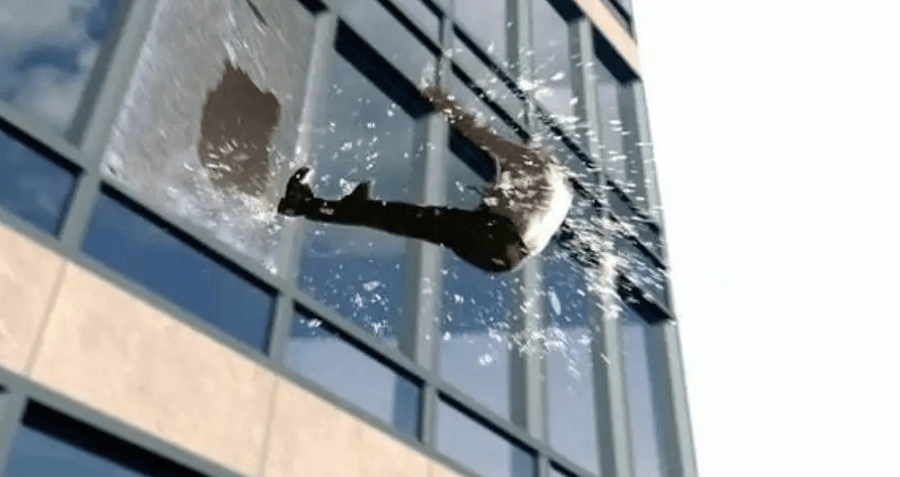 All That's Interesting