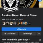 Awaken Never Been A Slave