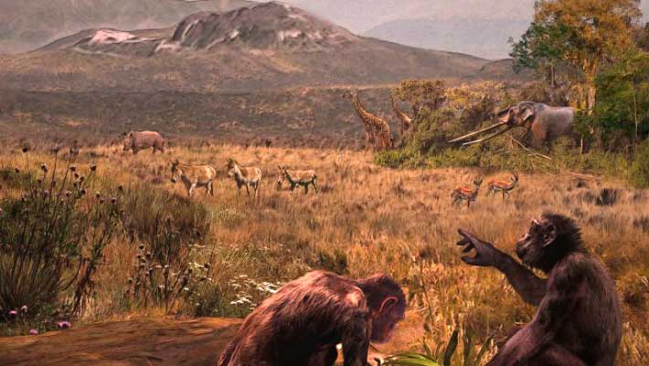 8.7-Million-Year-Old Fossil Suggests Ancestors of Humans and African Apes Evolved in Europe | Sci.News