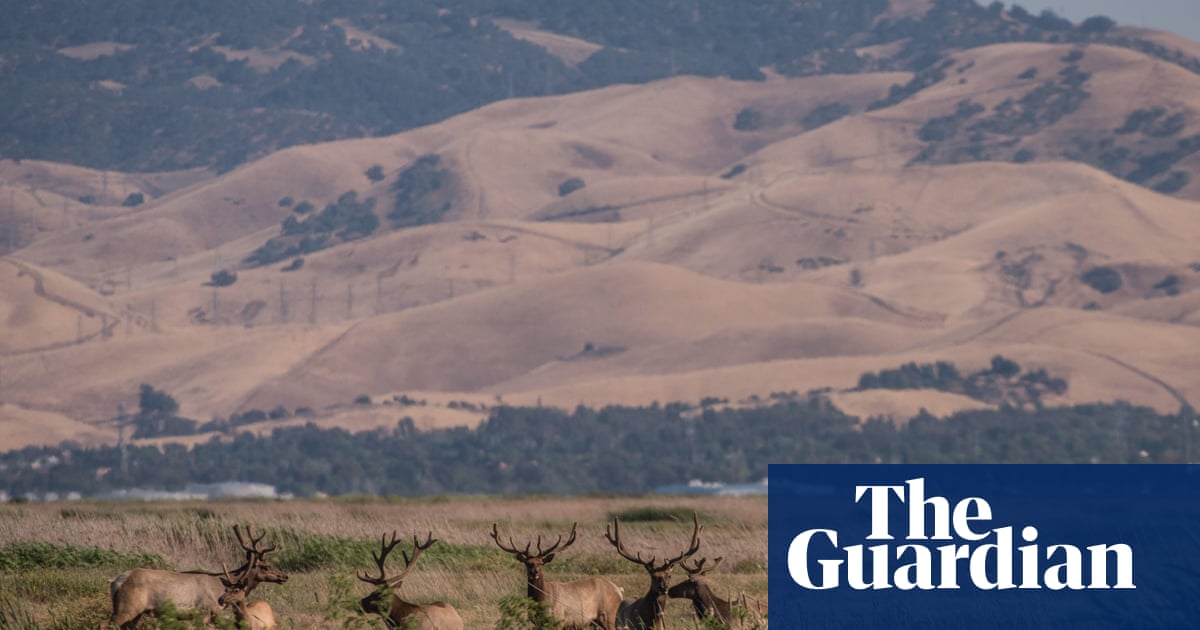 Silicon Valley elites revealed as buyers of $800m of land to build utopian city | California | The Guardian