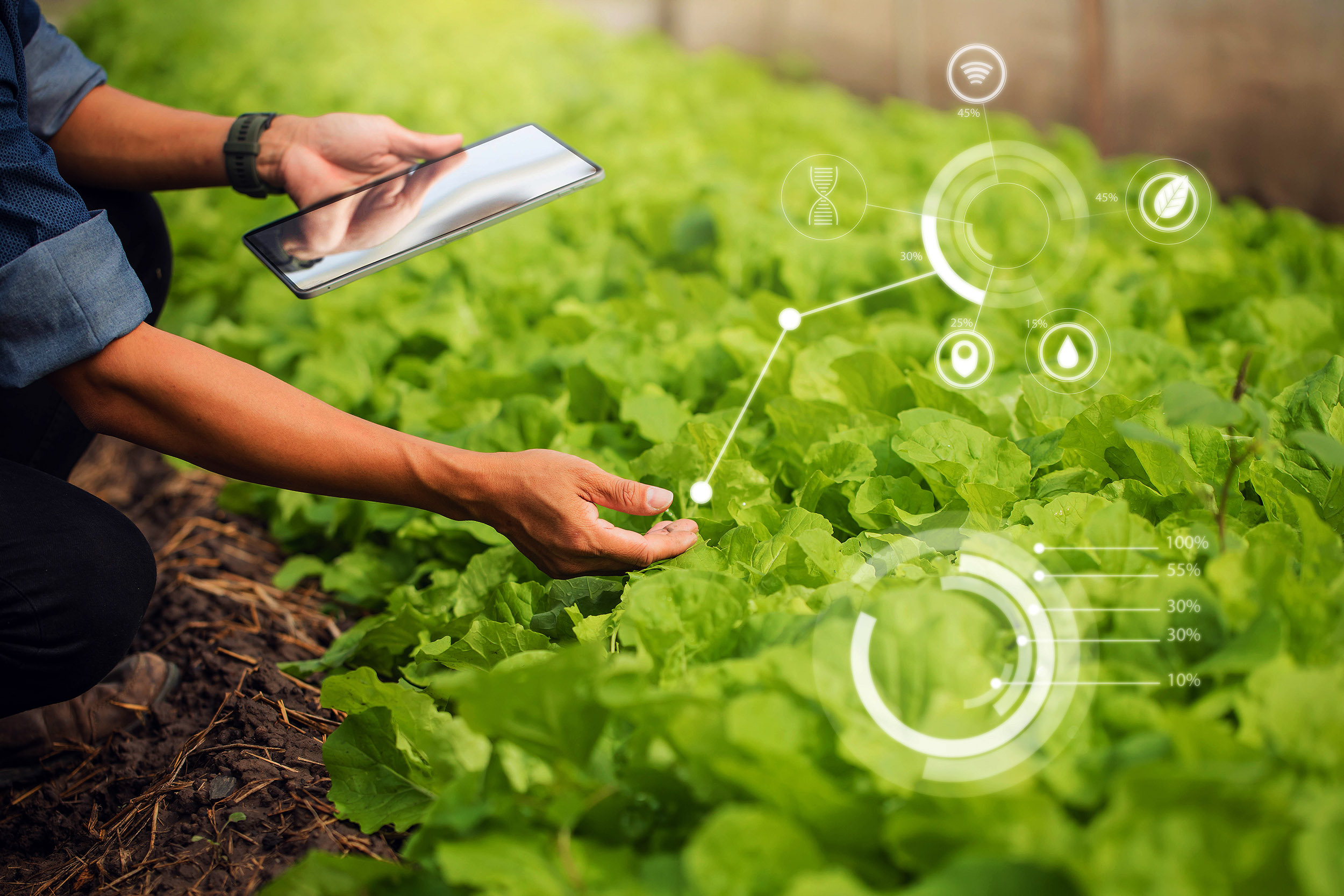 New invention enables humans to 'talk' to plants using light • Earth.com