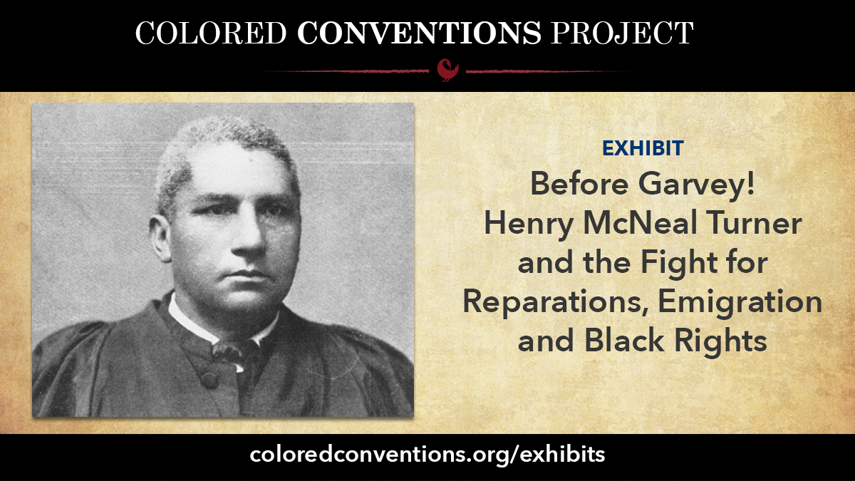 Biography - Before Garvey! Henry McNeal Turner and the Fight for Reparations, Emmigration and Black Rights