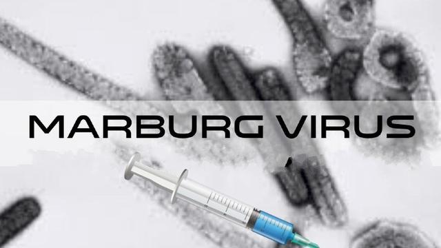 ?MARBURG VIRUS IN THE VAX?