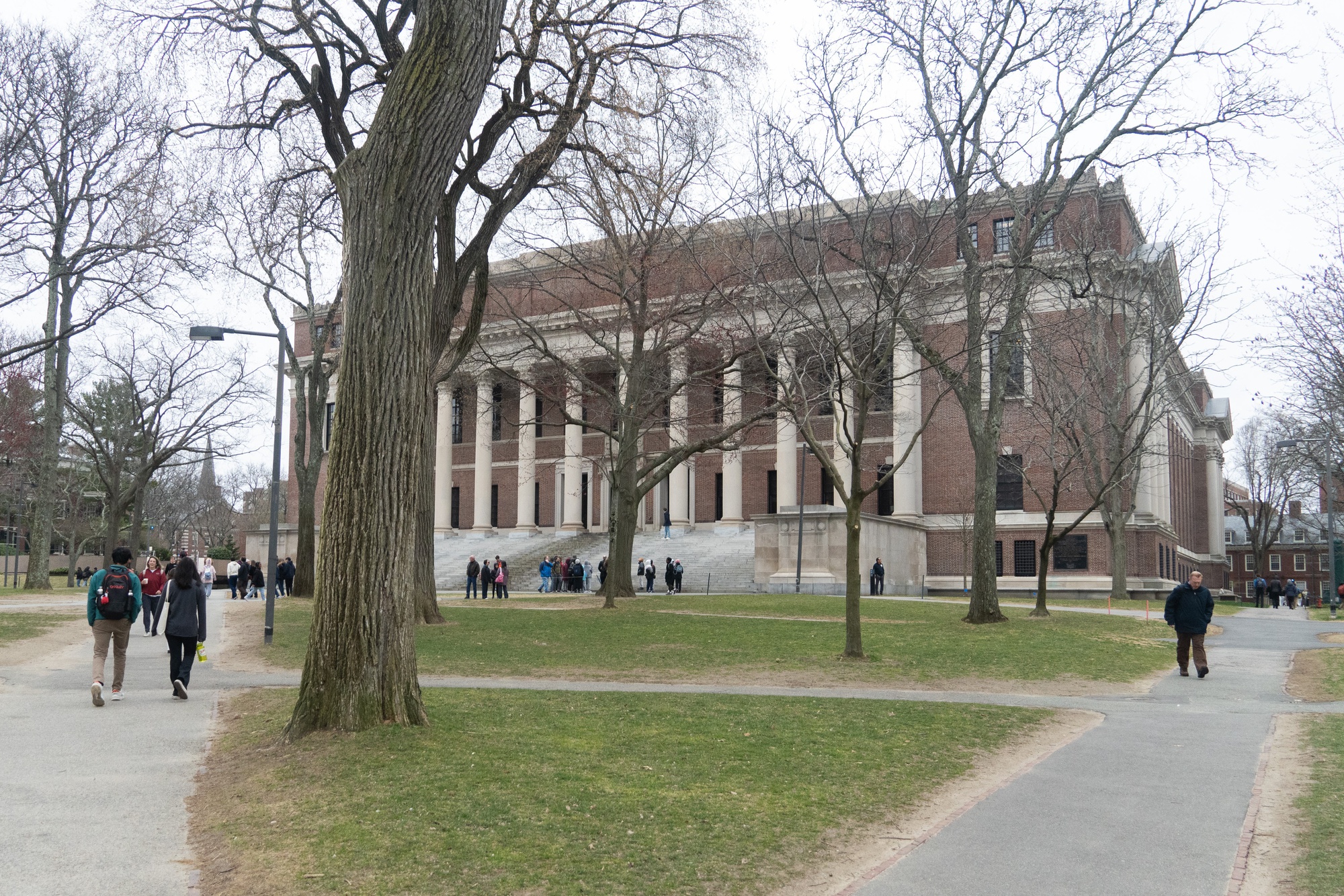 Harvard Students Doxxed, Groups Withdraw Signatures Amid Continued Backlash to Israel Statement | News | The Harvard Crimson