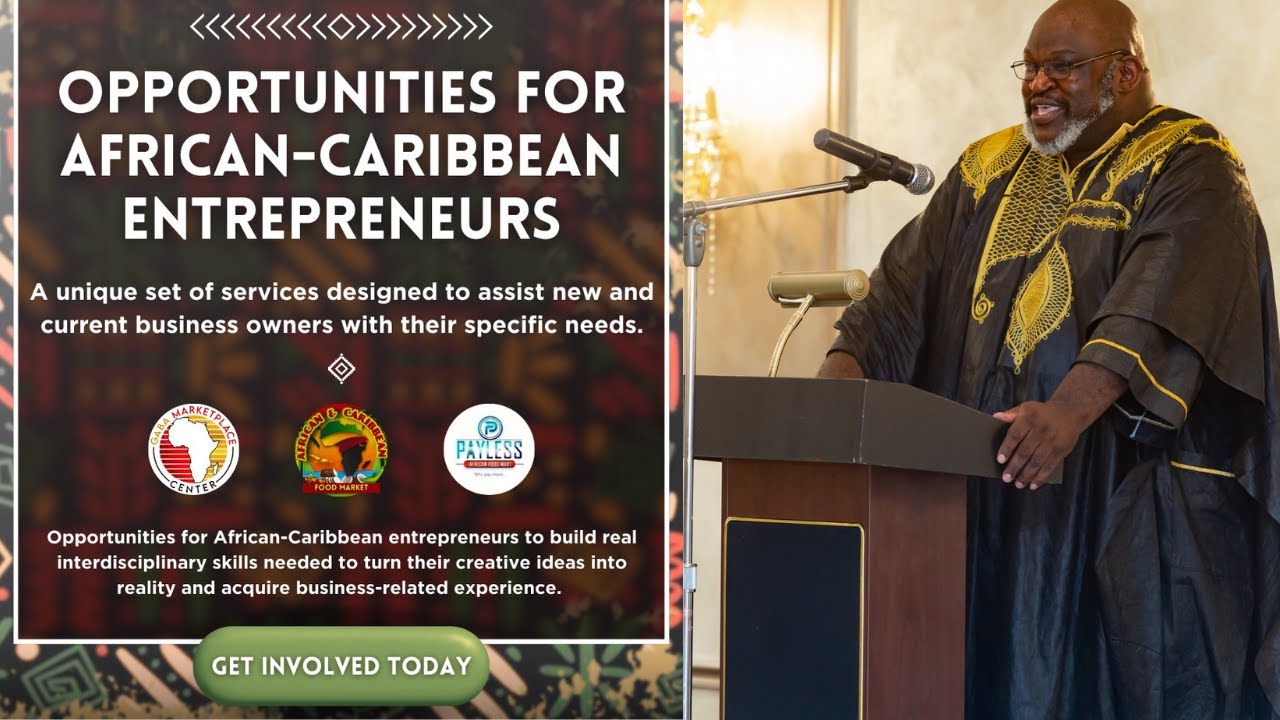 What Opportunities Are Available For The Diaspora Who Want To Invest In Africa w/ Akindele Akinyemi - YouTube