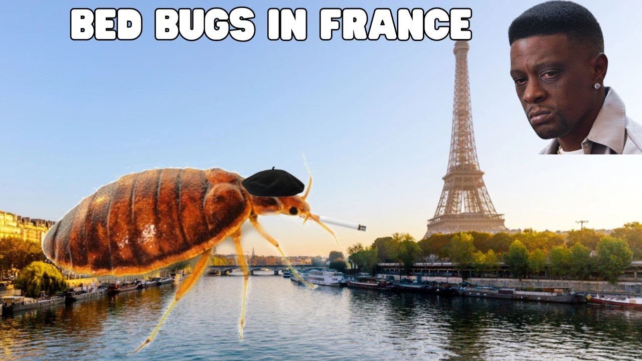 Theres A Bed Bug Infestation In France......The Media Is Silent. I've Never Seen Any In Africa. - YouTube