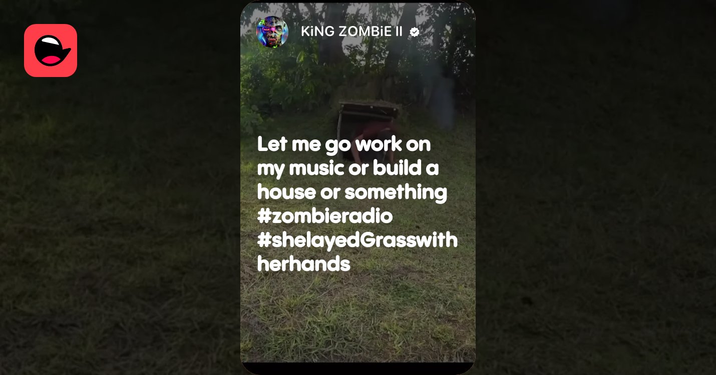 Let me go work on my music or build a house or something #zombieradio #shelayedGrasswithherhands