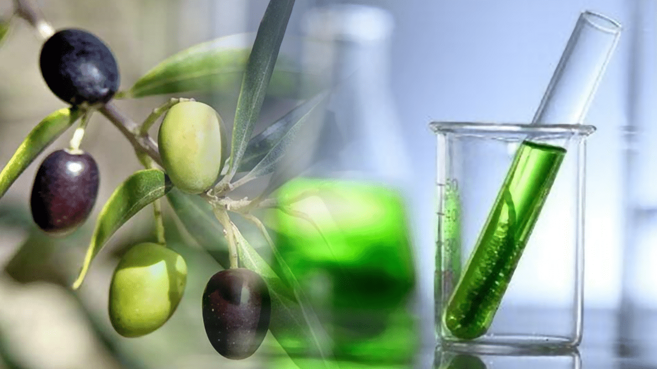 #1 Olive Leaf Extract Liquid Benefits - The Ultimate Guide To Olive Leaf Extract Benefits and Uses
