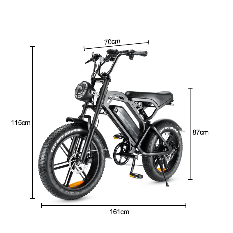750W Electric Bicycle Dirt Bikes Retro Electric Sport Bike Mountain Electric Fat Tire Ebike Electric City Bike – Store – Power Through Peace & Unity Store