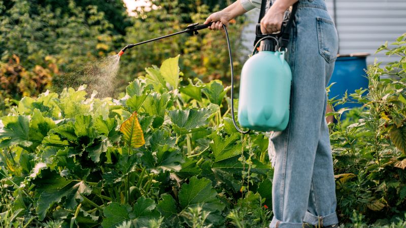 Common pesticides in food reducing sperm count worldwide, study says | CNN