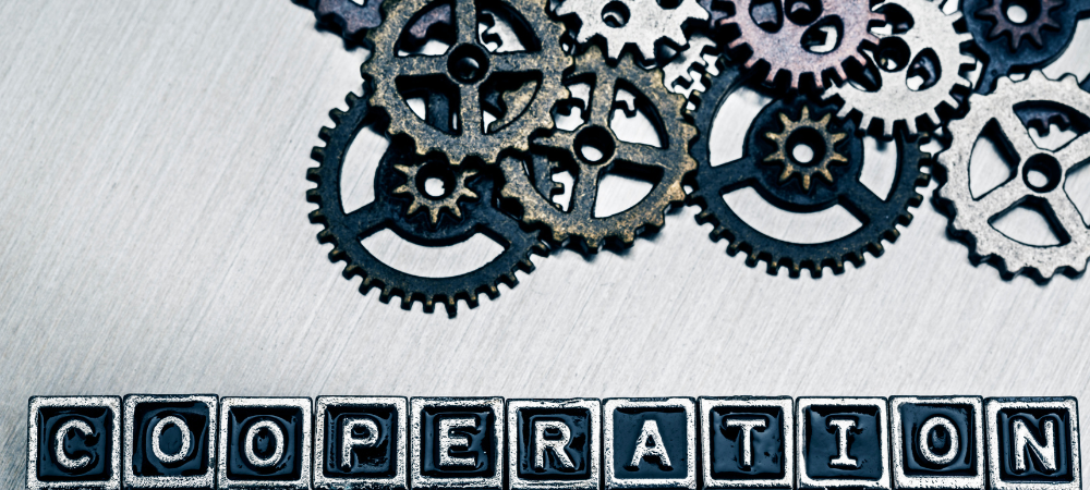 BUILD A COOPERATIVE WITH ME ENTRY 8 – BUILD BLACK OWNED