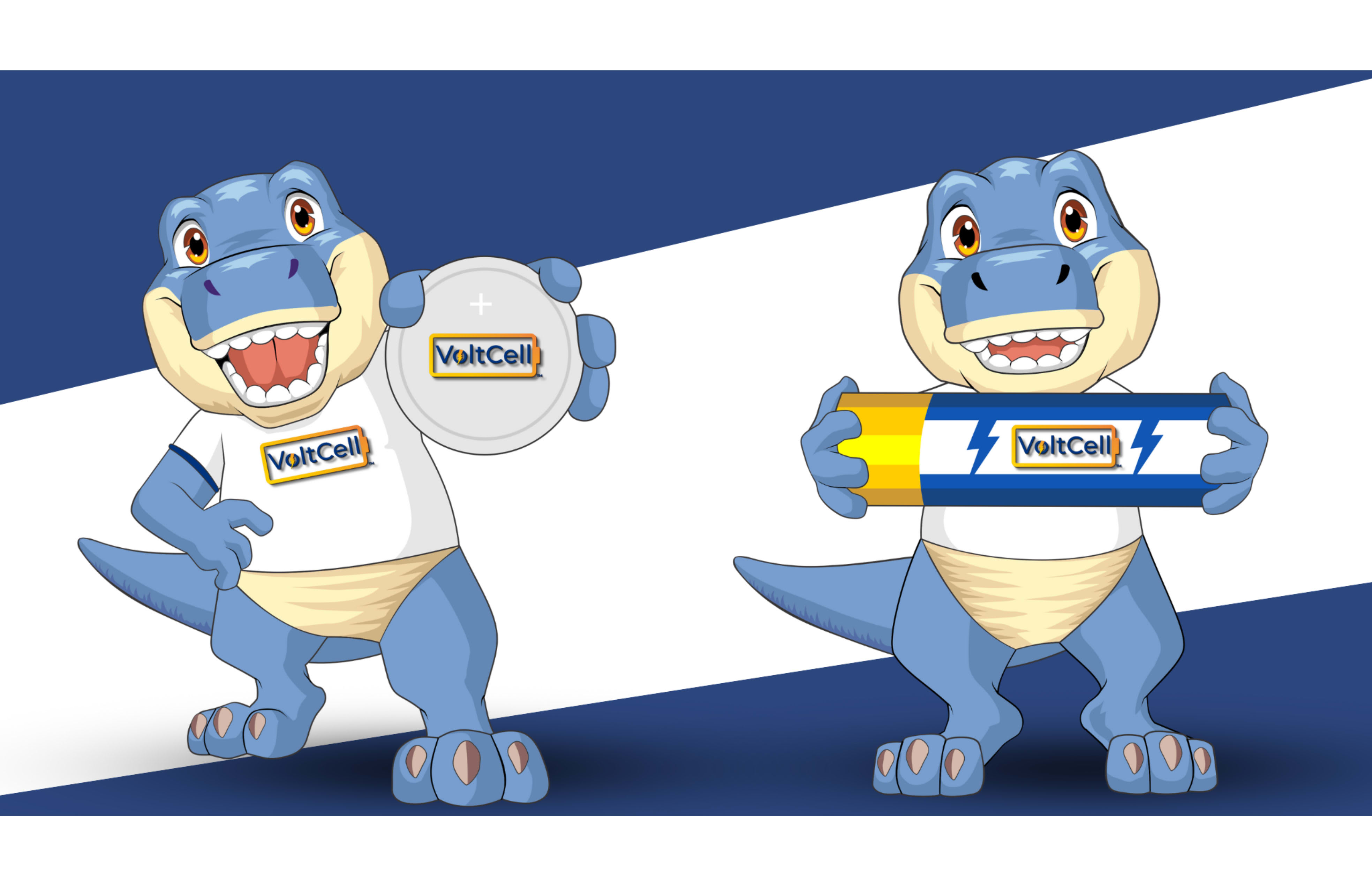 VoltCell | E-commerce Battery Shop | Dallas