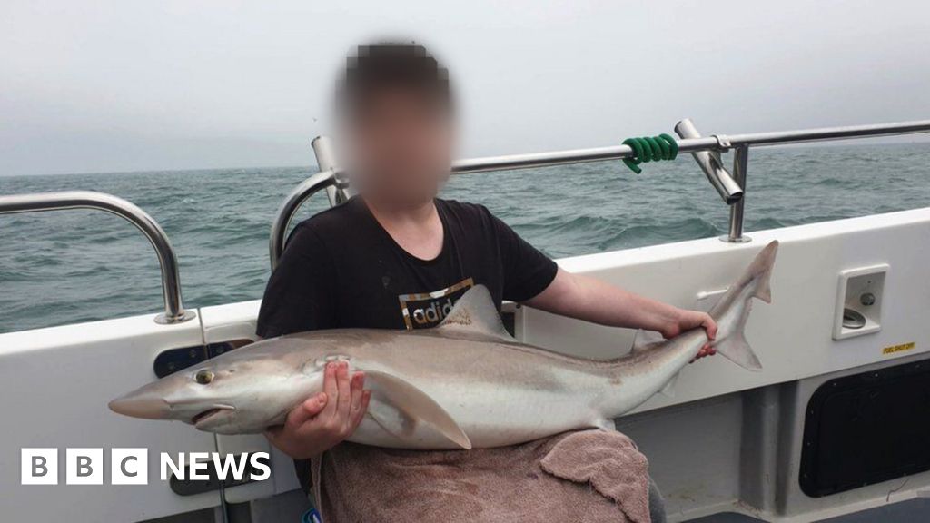 Lapsus$: GTA 6 hacker handed indefinite hospital order - BBC News