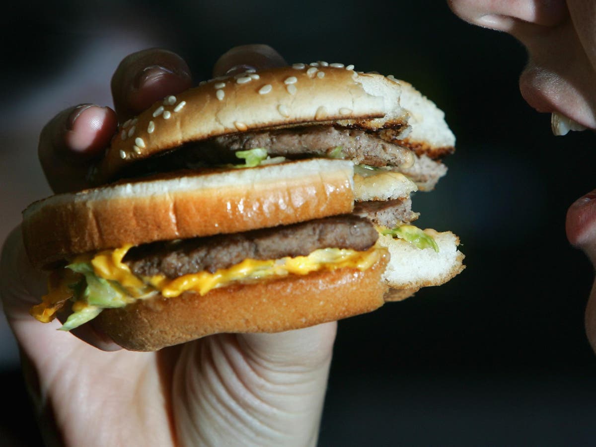 Burgers contain rat and human DNA, study finds | The Independent | The Independent