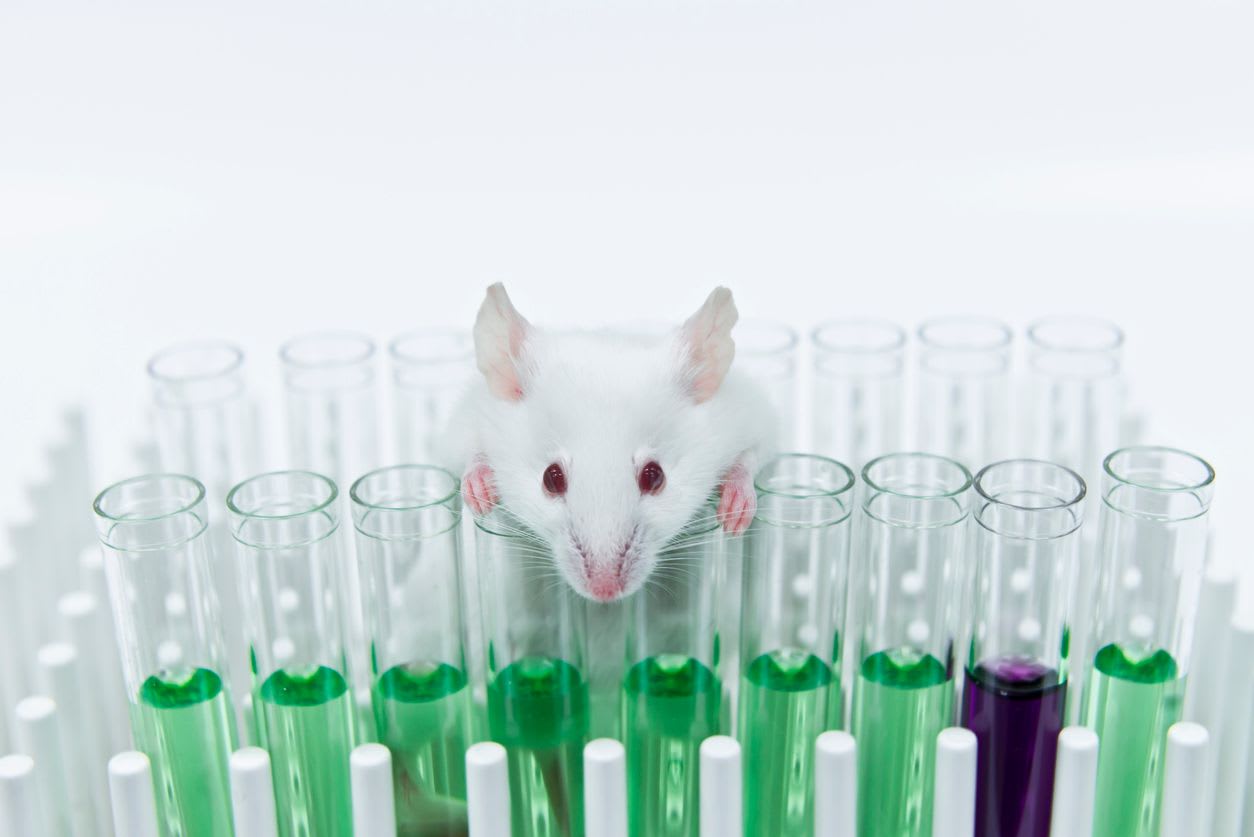 GMO crops - organ damage, fertility impact; DNA damage not ruled out  | Frontline News