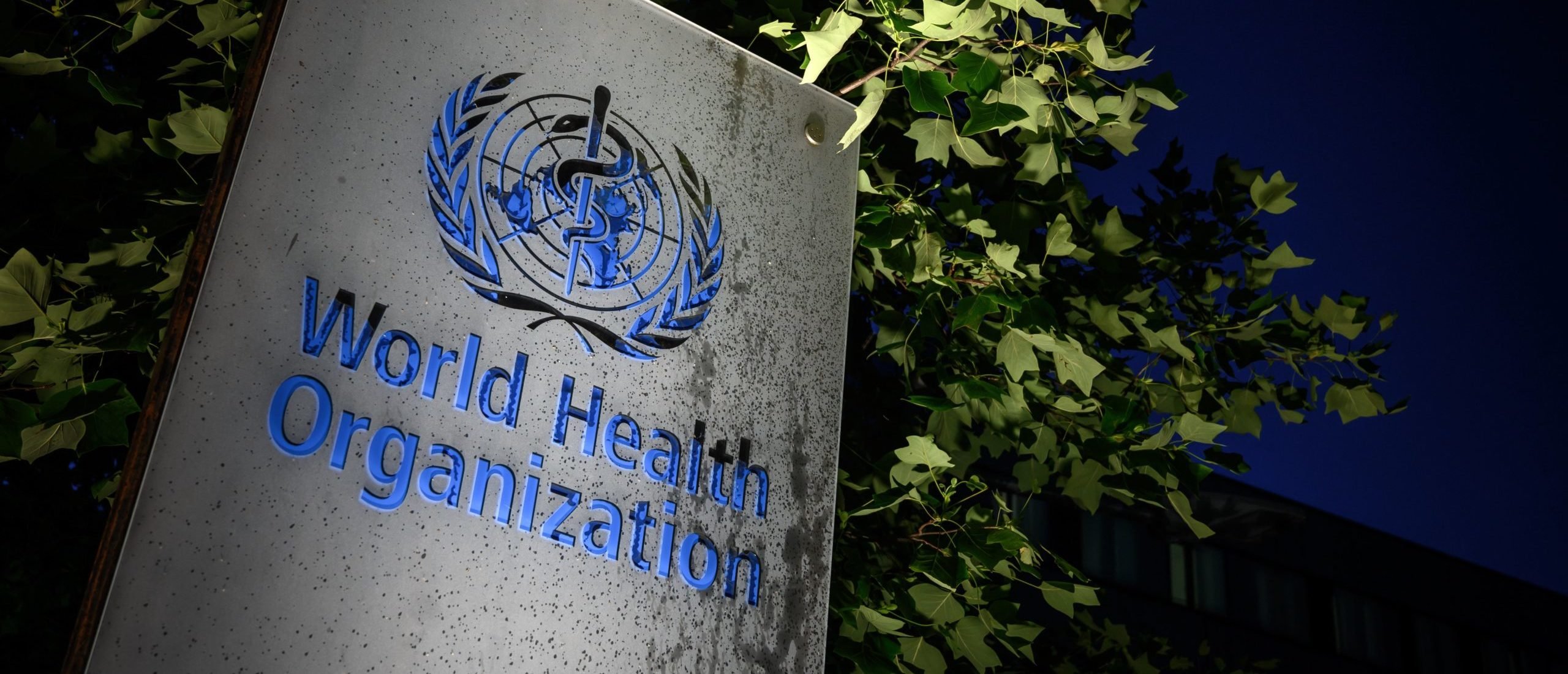 WHO Quietly Admits There’s No Solid Scientific Backing For Giving Children ‘Gender Affirming Care’ | The Daily Caller