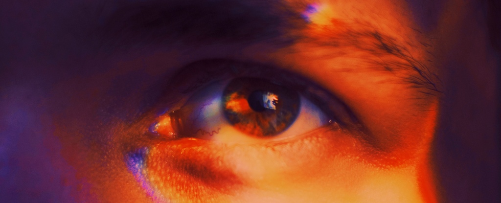 The Y Chromosome Is Vanishing. A New Sex Gene May Be The Future of Men. : ScienceAlert