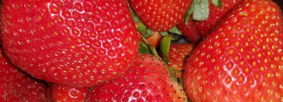 Elizabeth  Serrette Durham 