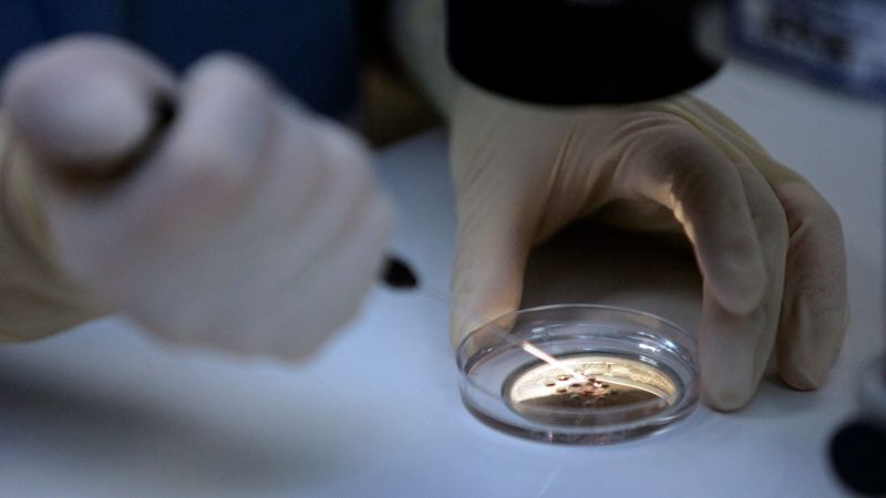 Alabama embryo ruling: state Supreme Court rules frozen embryos are children. Impacts could be devastating, critics warn | CNN