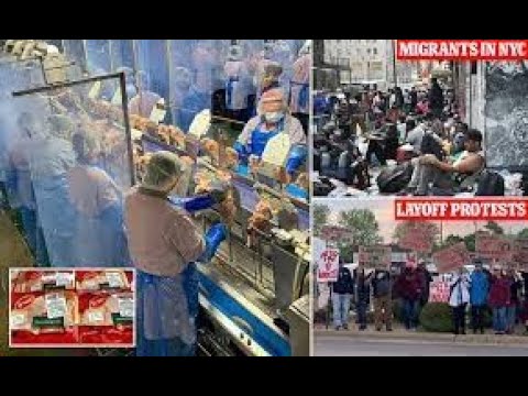 Tyson Foods TERMINATES Thousands of AMERICANS In Iowa; To Hire 52,000 Migrants! #youtubeshorts #yt - YouTube