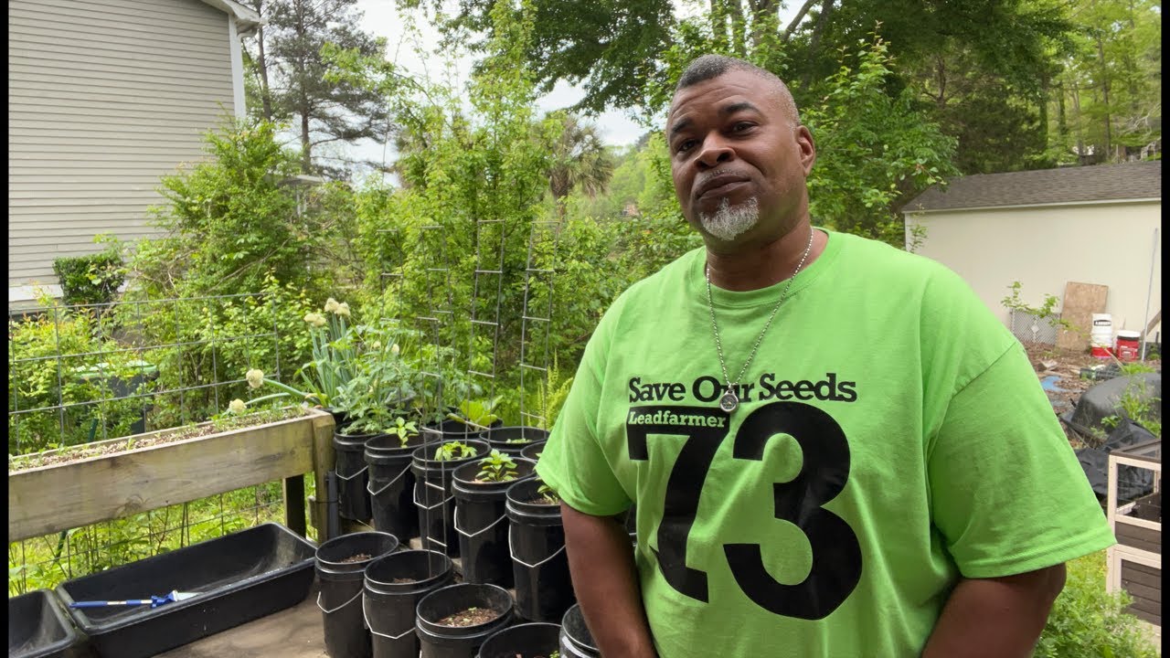 Starting my Garden one plant at a time ? ? - YouTube