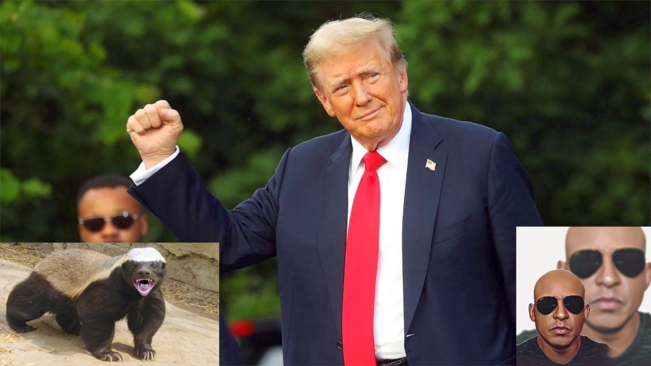 President Trump Goes To The Bronx Like A Boss: He’s A Honey Badger - YouTube