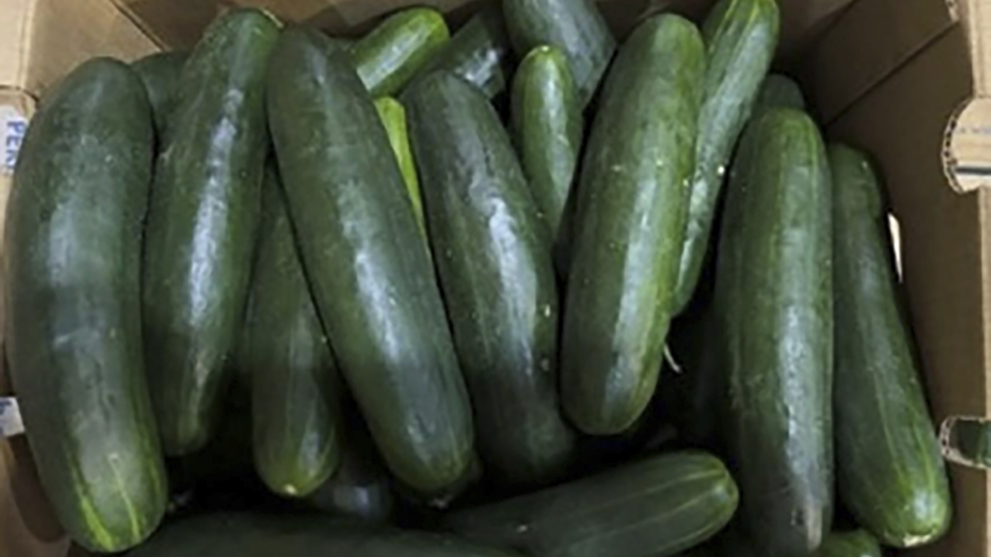 More than 150 across U.S. sick due to possible salmonella outbreak in cucumbers : NPR