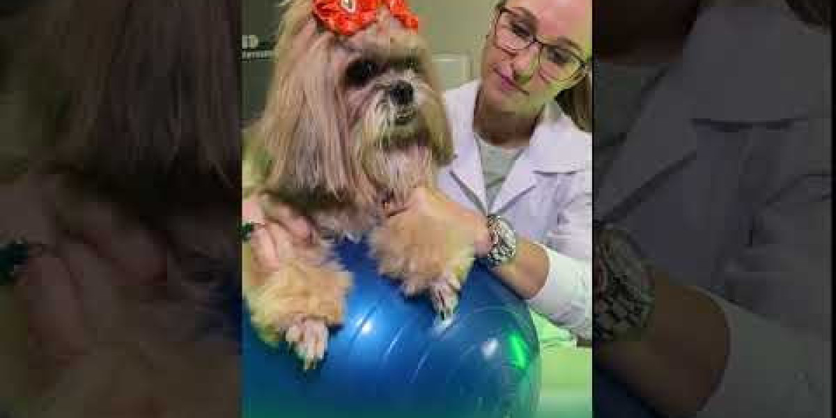 5 Signs Your Dogs Liver Needs A Detox Dogs Naturally