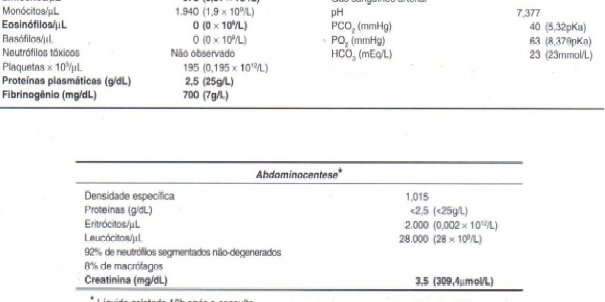 The step-by-step guide to understanding your patient's blood results