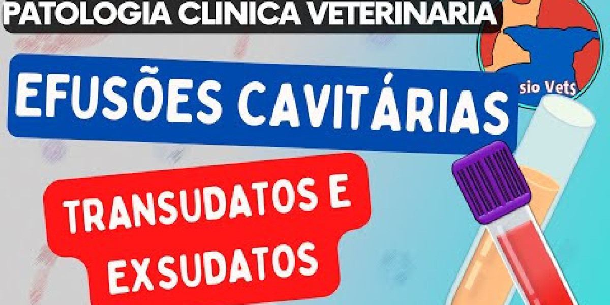 Liver Enzyme Interpretation and Liver Function Tests