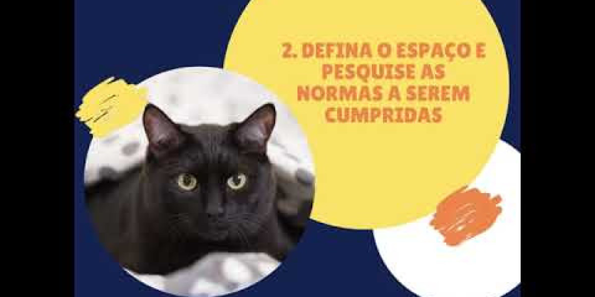 Kidney Failure in Cats: Symptoms, Treatment & More