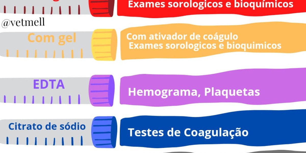 Creatinina alta en perros Síntomas, causas y tratamiento