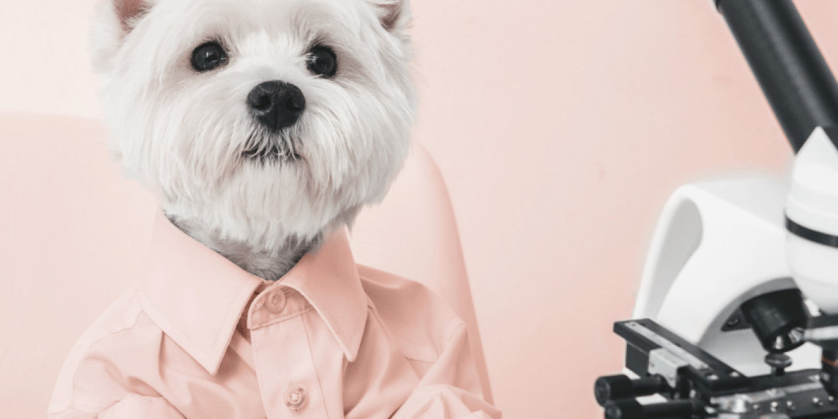 Understanding Blood Tests For Dogs: Blood Chemistry, CBC, & More Dr Buzby's ToeGrips for Dogs