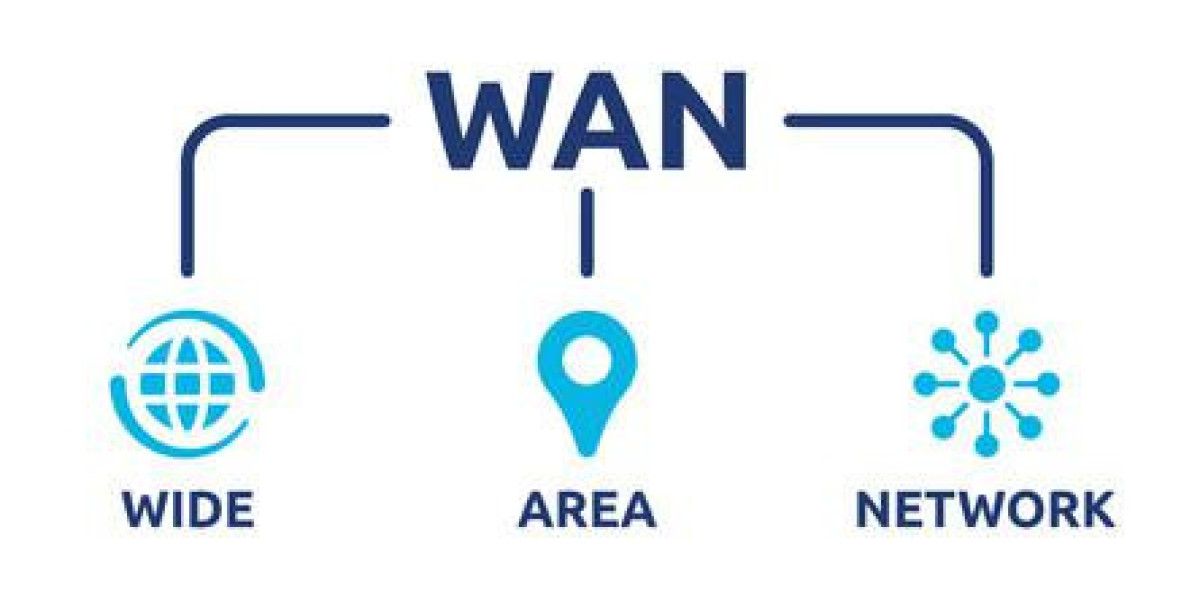 Expanding Horizons: Wide Area Networking Services Market Growth and Trends (2024-2032)