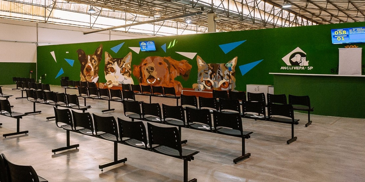 Liver Disease in Dogs