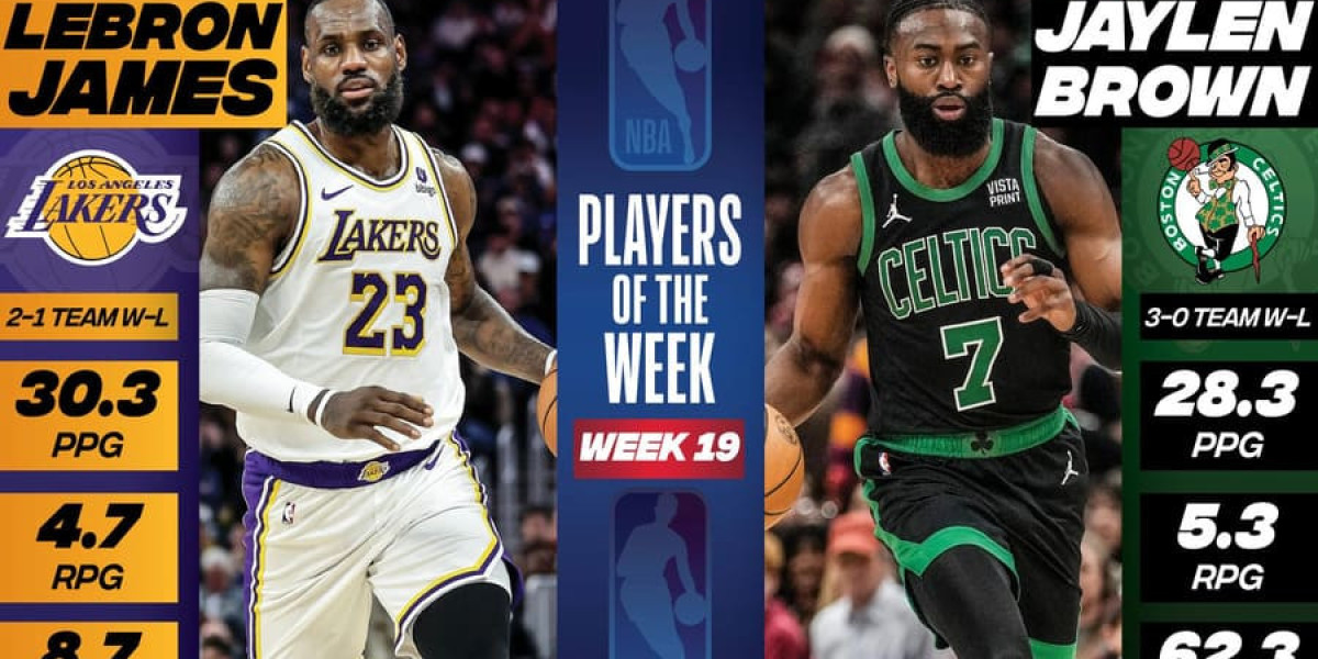 Exploring the Wonders of Sports Toto Site