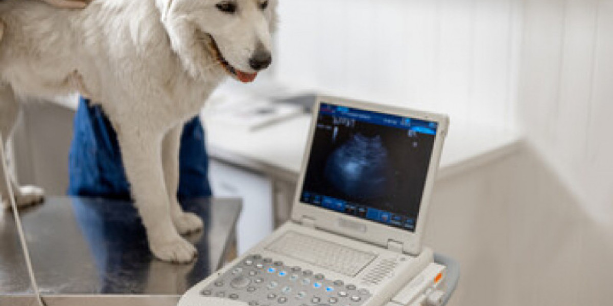 Milk Thistle For Dogs Can Silymarin Help A Dogs Liver?