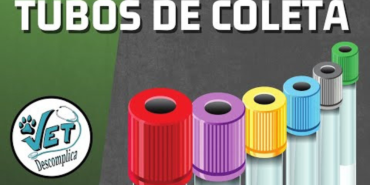 Así debe ser la COMIDA para Gatos con PROBLEMAS RENALES
