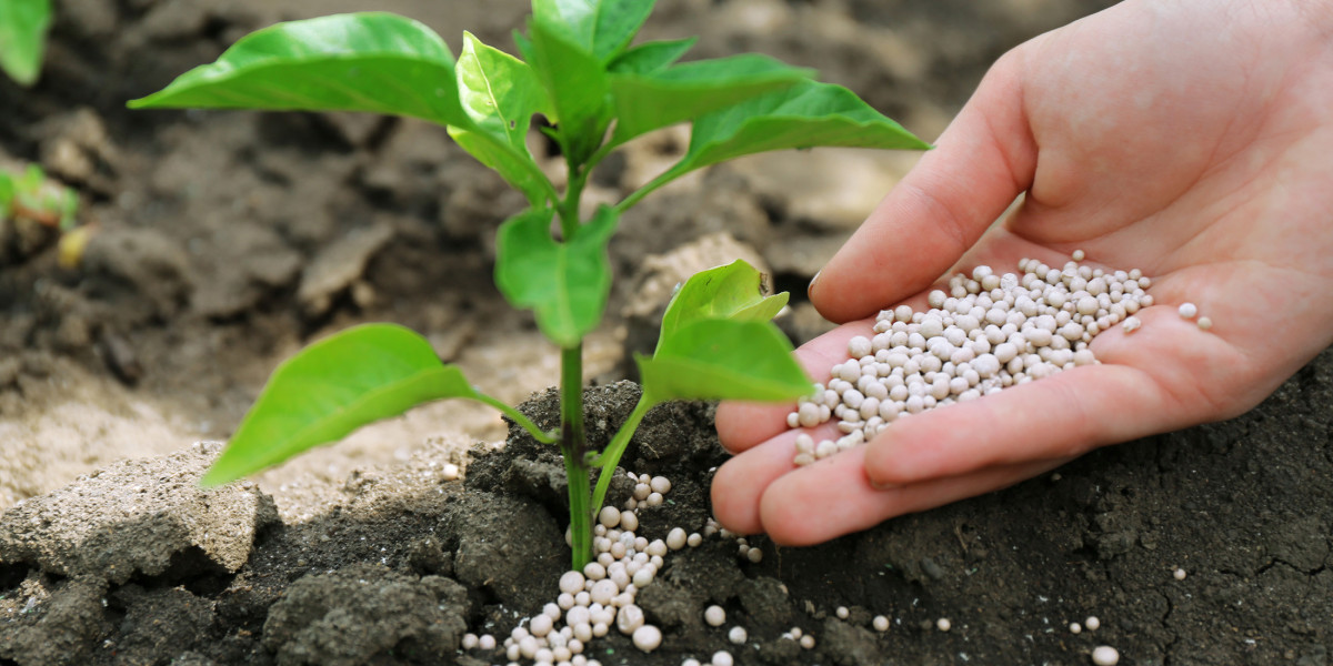 Fertilizers Market Overview, Scope, Trends and Industry Research Report 2031