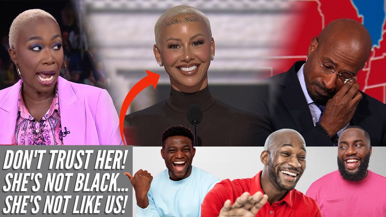 Joy Ried  Van Jones WARNS BLACK VOTERS Not To Trust Amber Rose After Endorsing Trump - YouTube