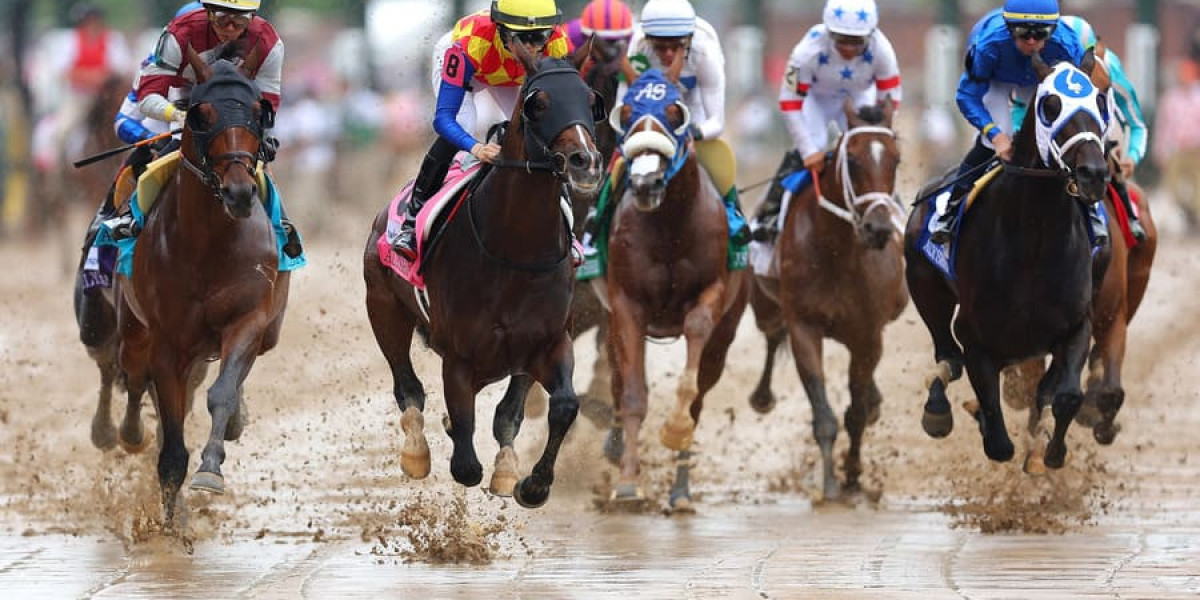 The Ultimate Guide to Korean Betting Sites: Key Insights and Services